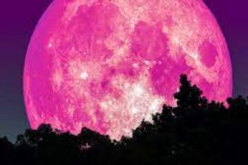Get Ready For Tonight's Pink Super Moon!