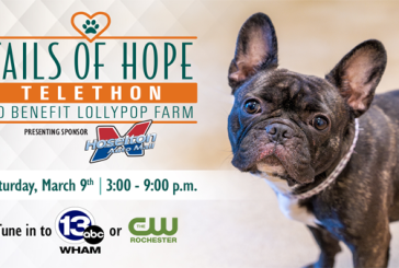 Lollypop Farm - Tails of Hope Telethon - March 9th