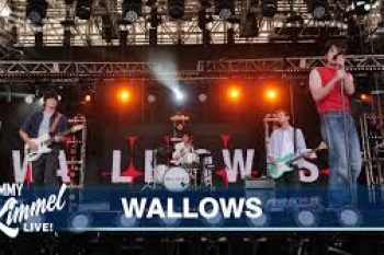 Wallows On TV!